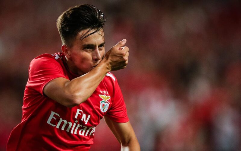 Benfica - Tondela: as dicas e previsão do especialista